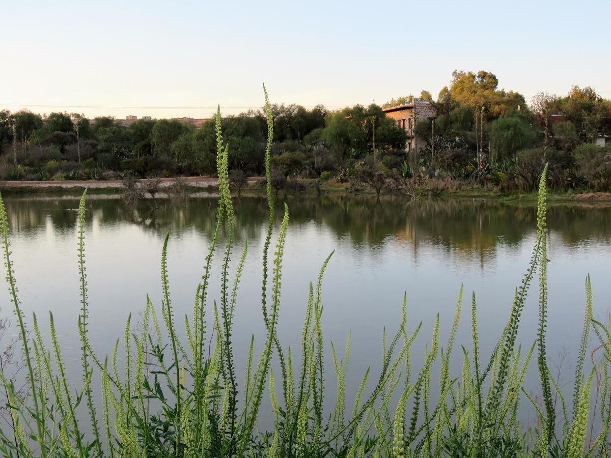 Hacienda Tovares Cadereyta de Montes Esterno foto